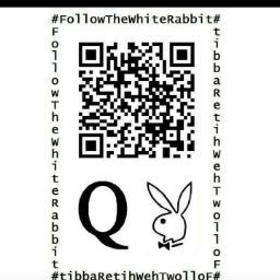 followthewhiterabbit (2).jpg